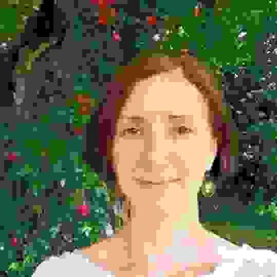 broken image