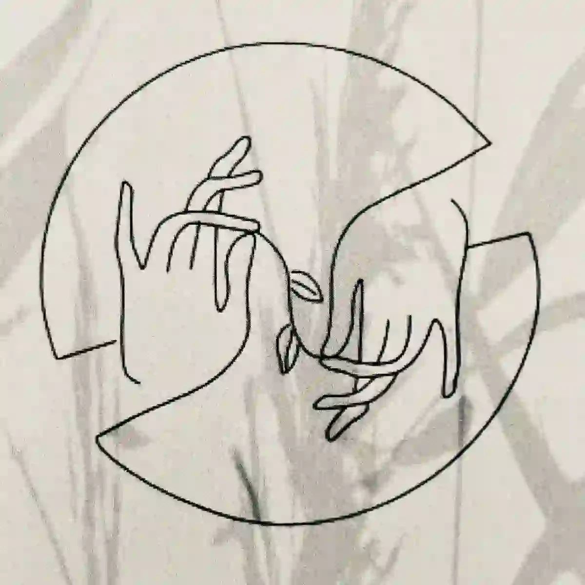 broken image