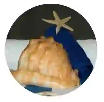broken image
